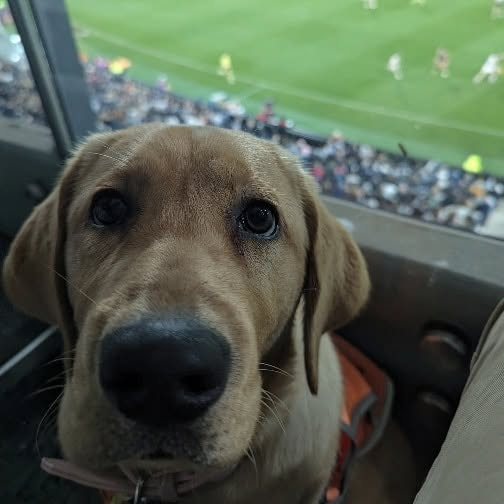 Annie at a football match, sitting in the stands