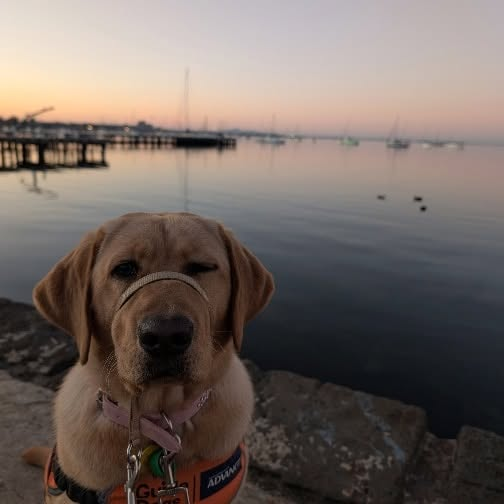 Annie sitting by the water at dusk