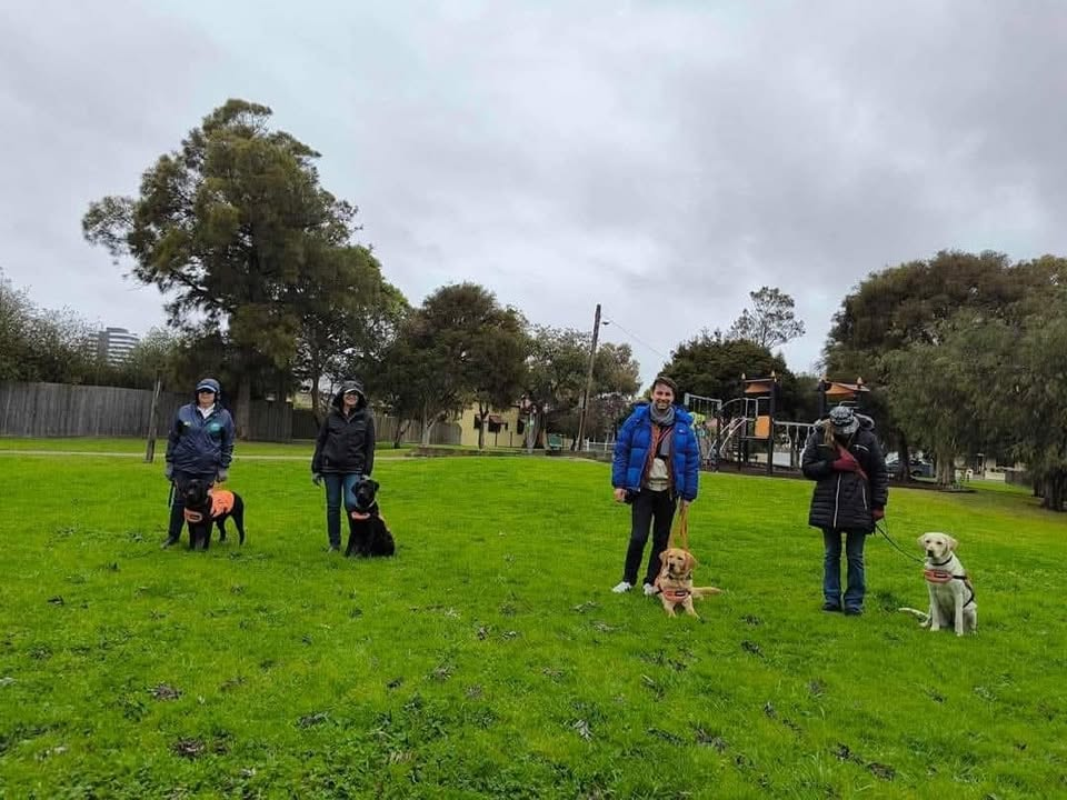A group of puppy raisers with their guide dogs in training at an outdoor class