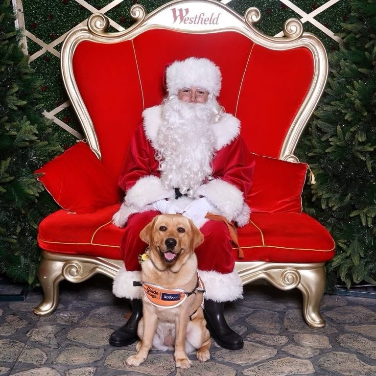 Annie sitting in front of Santa at a shopping centre Christmas photo set