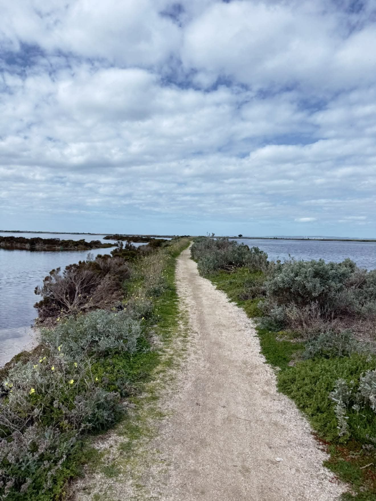 A narrow white gravel path between saltbush, water on both sides, under a wide cloudy sky