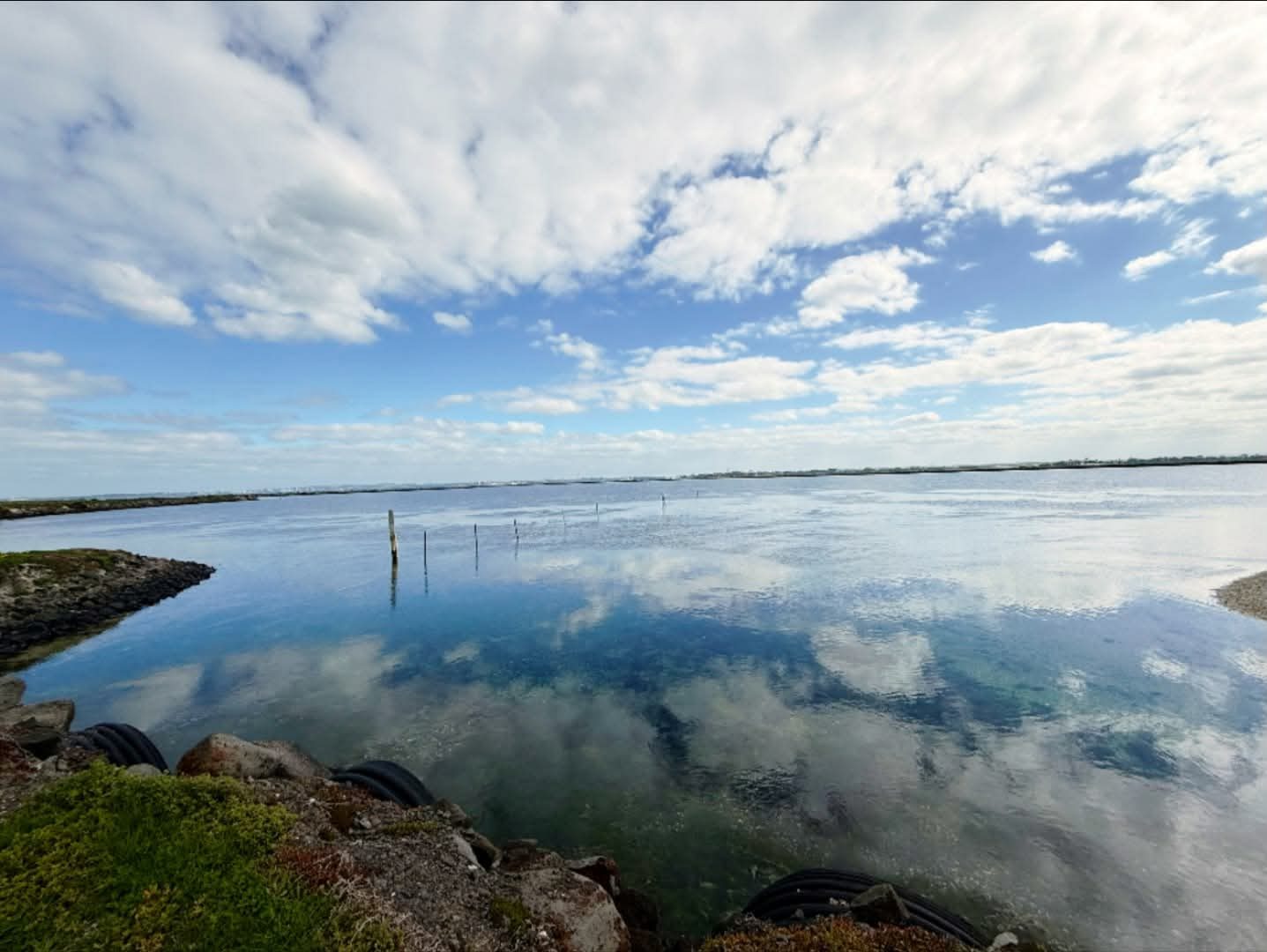 Perfectly still shallow water reflecting cloud, with old timber posts standing in the water