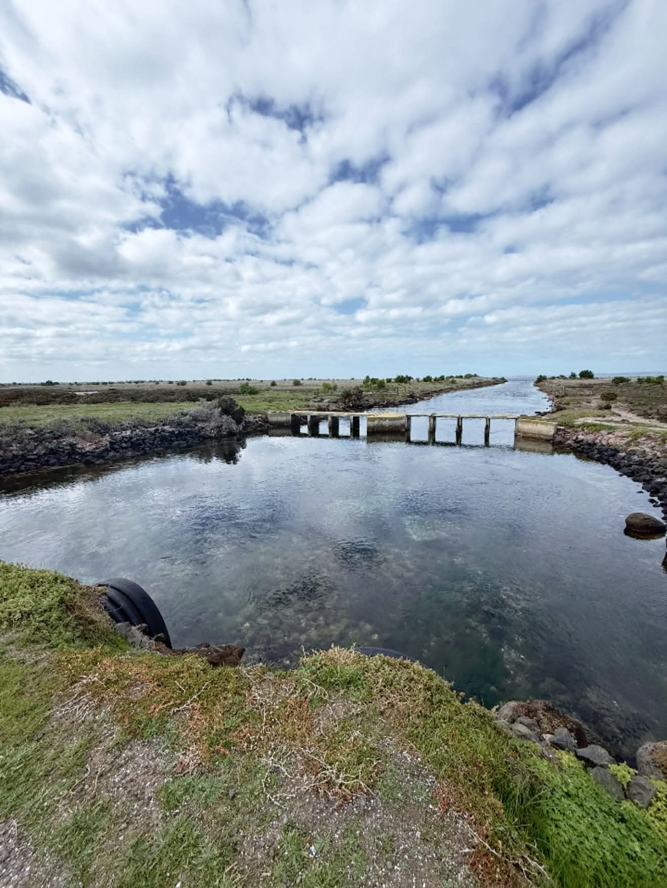 An old concrete weir structure across a channel in the Avalon wetlands