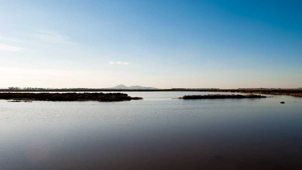 A wide view across the Avalon wetlands, low islands of saltmarsh in shallow water with the You Yangs distant