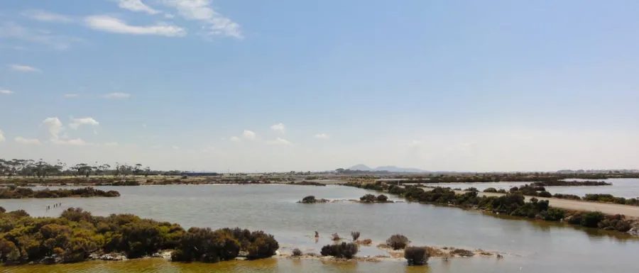 The You Yangs as a low blue silhouette across flat water under a clear sky