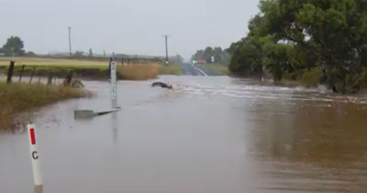 A rural road submerged under brown floodwater, with a depth marker post and roadside vegetation partly underwater