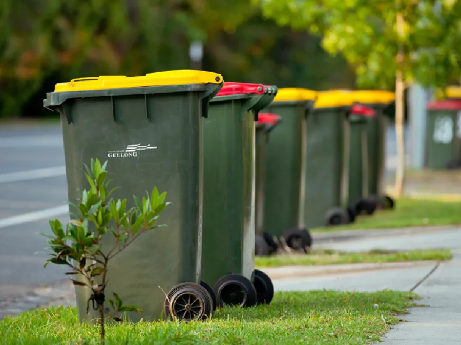 A row of Geelong council bins with yellow and red lids on a kerbside verge