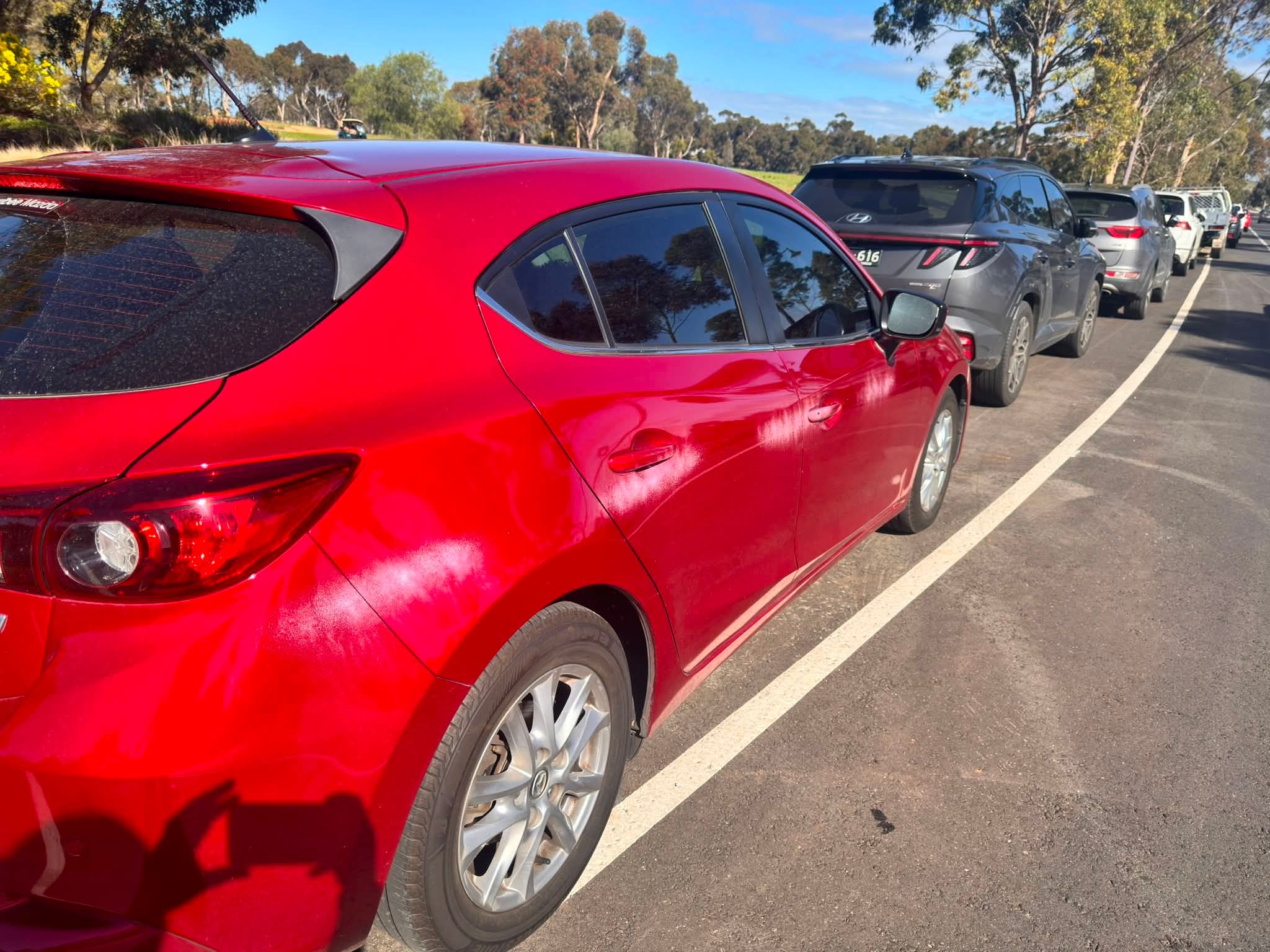 A line of parked cars on a Geelong street