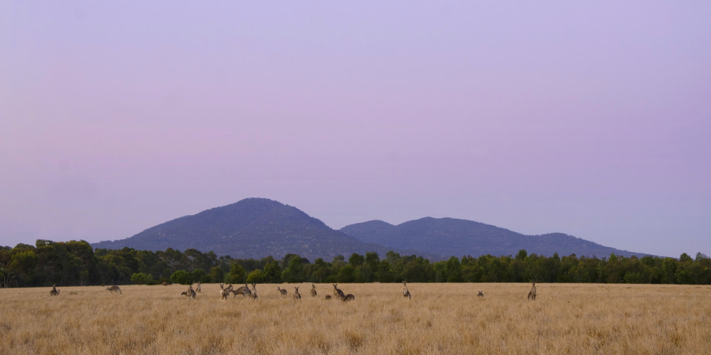 You Yangs at sunset